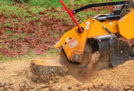 Best Tree Removal  in Kent Acres, DE
